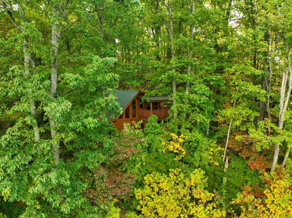 Views, Game Room And Hot Tub Bearway To Heaven Sevierville Eksteriør billede